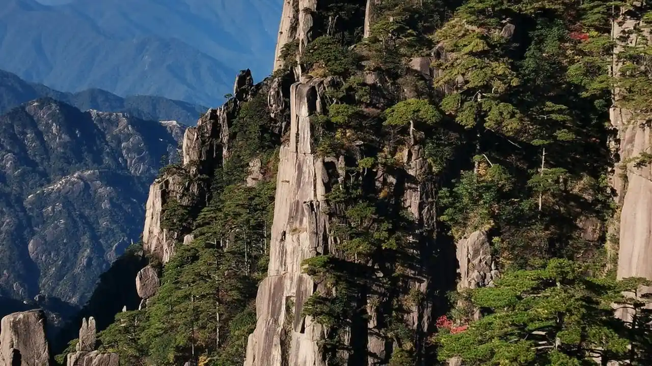 换明星脸的app探索虚拟形象新潮流